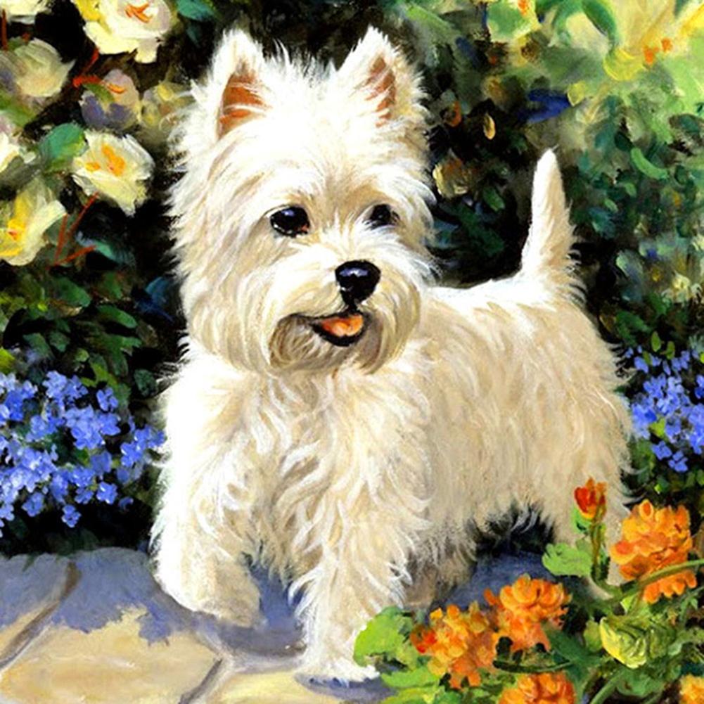 

30*30CM - White Puppy - Round Drill Diamond Painting, 501 Original