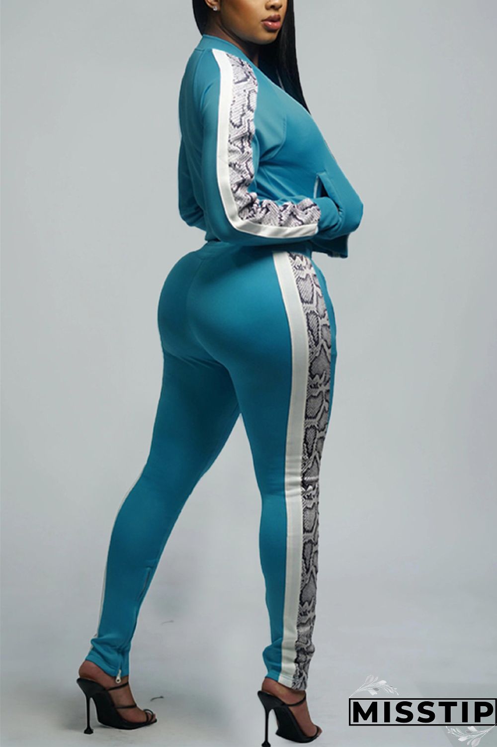 Light Blue Sportswear Solid Patchwork Zipper Collar Long Sleeve Regular Sleeve Regular Two Pieces