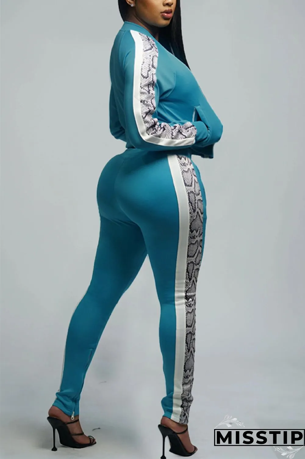 Light Blue Sportswear Solid Patchwork Zipper Collar Long Sleeve Regular Sleeve Regular Two Pieces