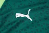 Joyfball 2024/2025 Palmeiras Half-Pull Training Suit Deep Green Football Shirt 1:1 Thai Quality