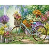 Painting By Numbers - Bicycle(40*50 cm)