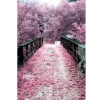 Pink Tree Foot Path  | Full Round Diamond Painting Kits