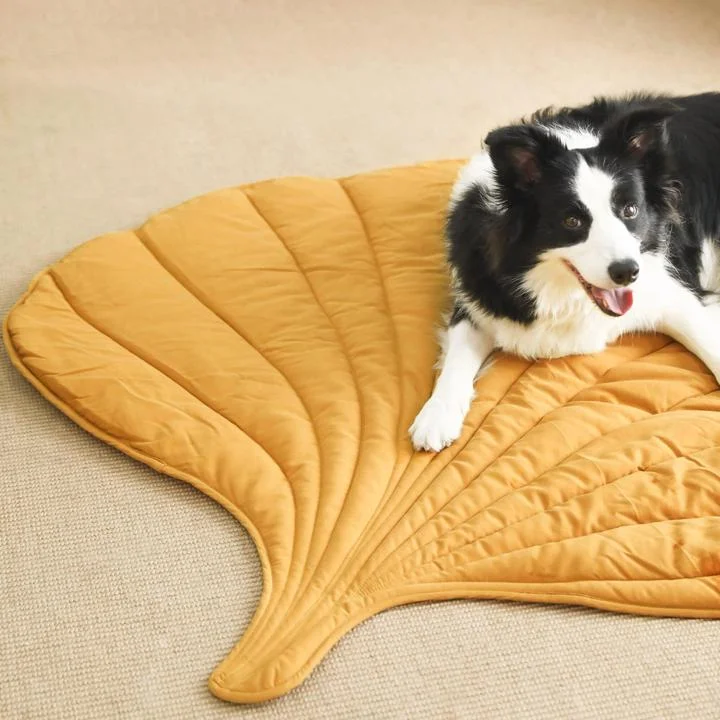 petnoo.comLeaf Shape Dog Blanket, Two colors on the front and back