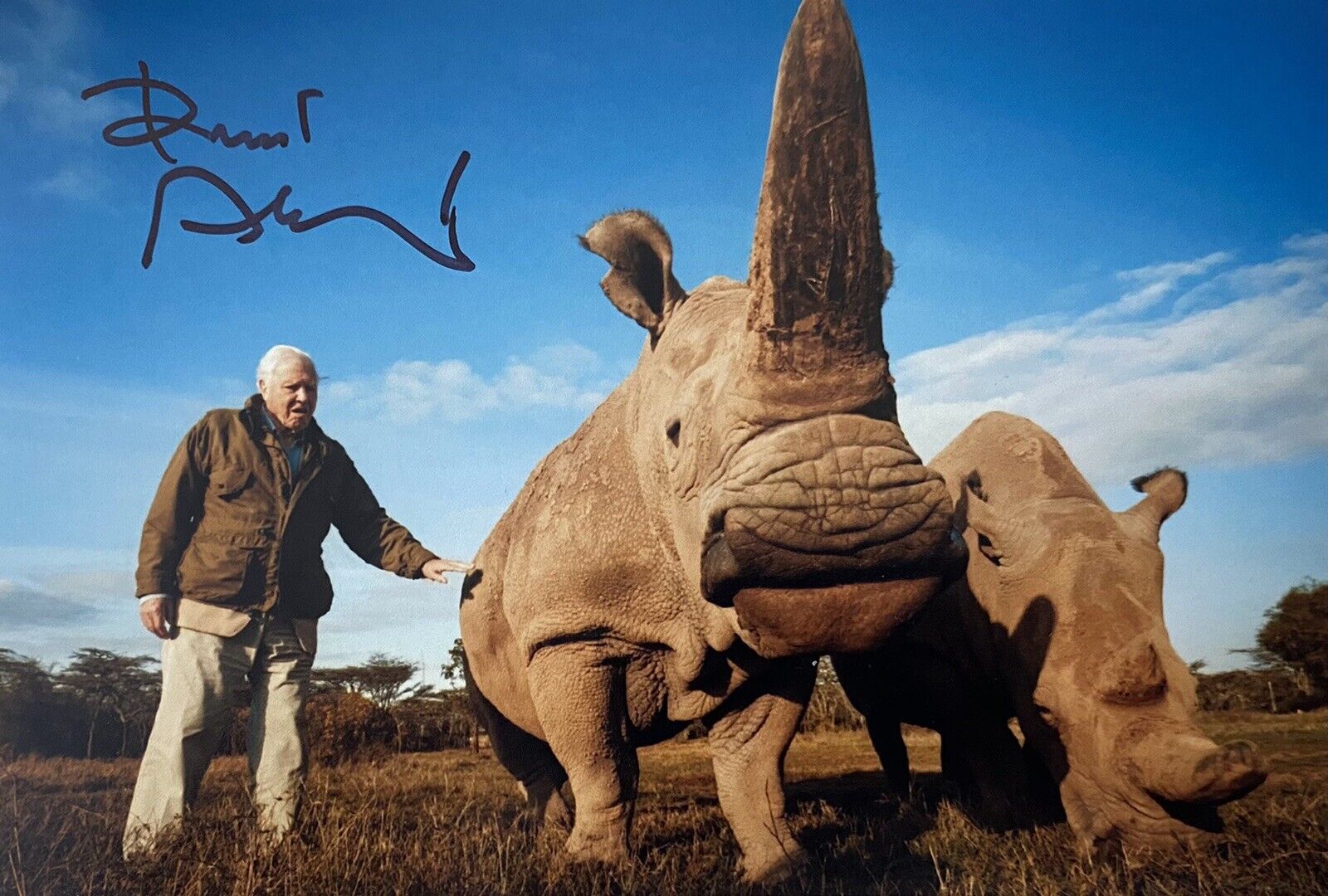 Sir David Attenborough Genuine Hand Signed 6x4 Photo Poster painting 15