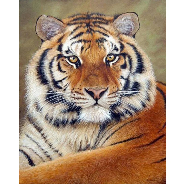 Full Round Diamond Painting - Tiger 40*50CM