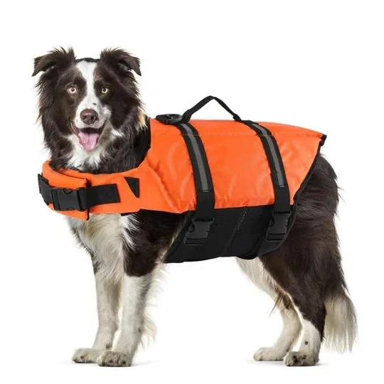 Dog Life Jacket