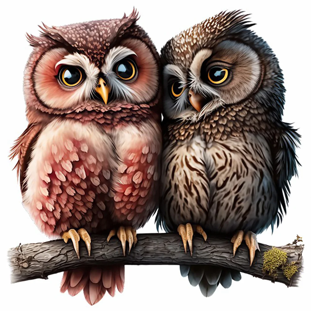 Valentine Love Owl - Full Round Drill Diamond Painting - 30*30CM(Canvas)