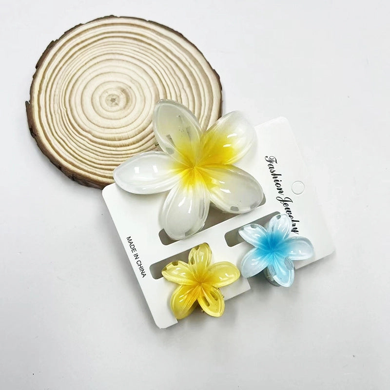 Vacation Modern Style Women’s Flower Resin Hair Claws