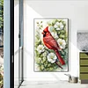 (40*60cm)Cardinal - Full Round Drill Diamond Painting