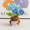 (Finished Product)Crochet Flower Potted Doll with Positive Card Desktop Ornaments, Potted Plants, Bouquets Gift Home Decor