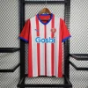 2023/2024 Girona Home Football Jersey 1:1 Thai Quality