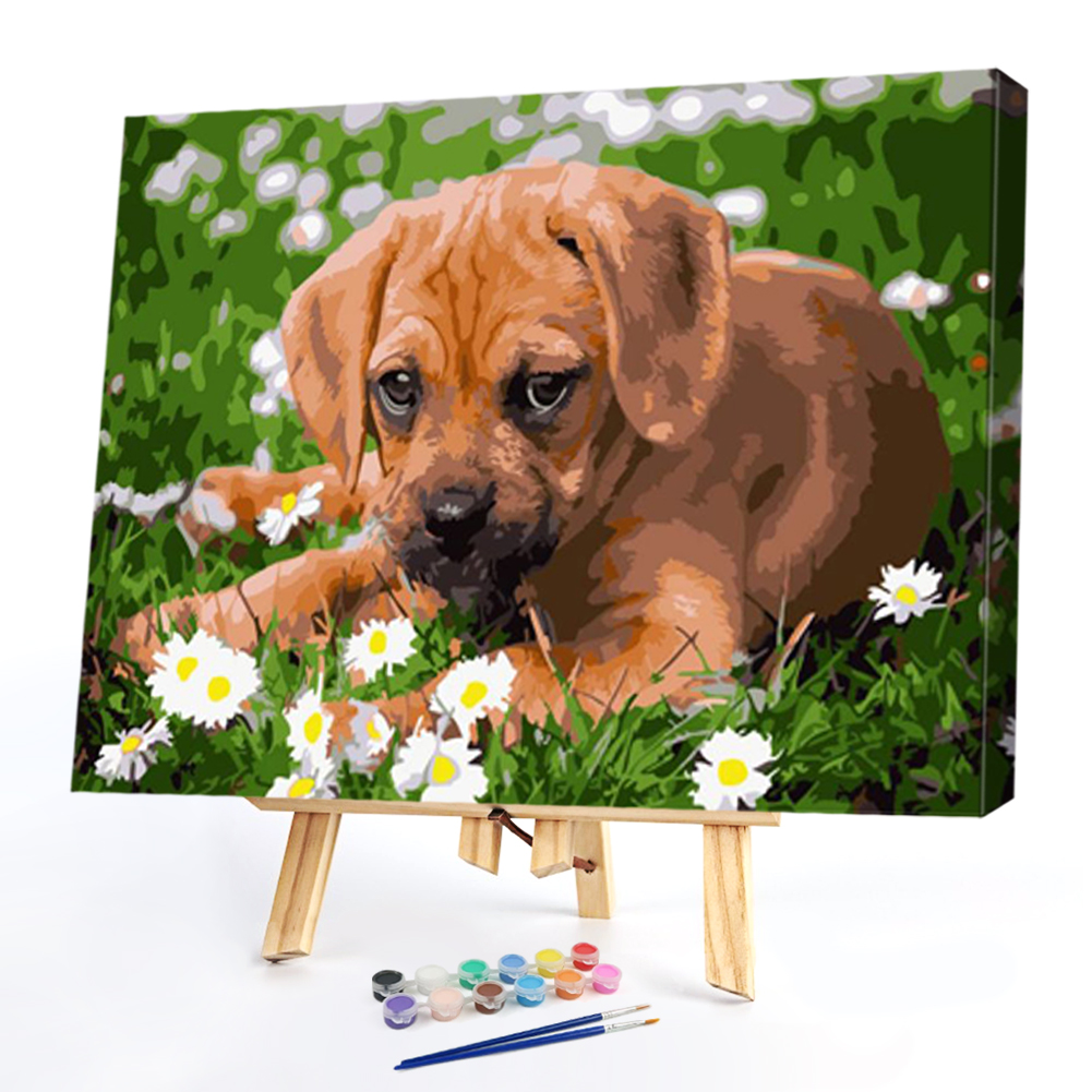 

40*50CM Paint By Numbers-DogColor, 501 Original