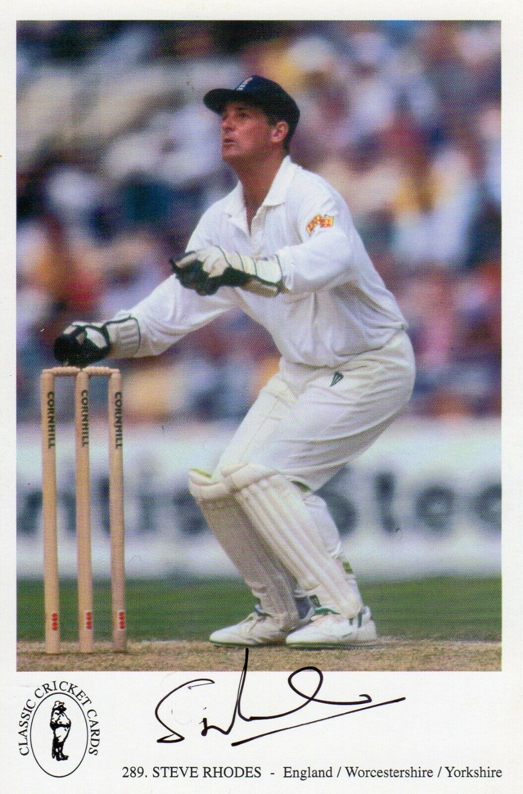 STEVE RHODES AUTOGRAPH, CRICKET, SPORT