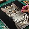 uk.everydayedeals DIY Pearl Painting With Frame - Handmade Self-Adhesive Pearls - Rich Cat(25*25cm)