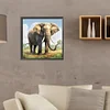 Diamond Painting-DIY Full Round Drill Elephant(35*35CM)