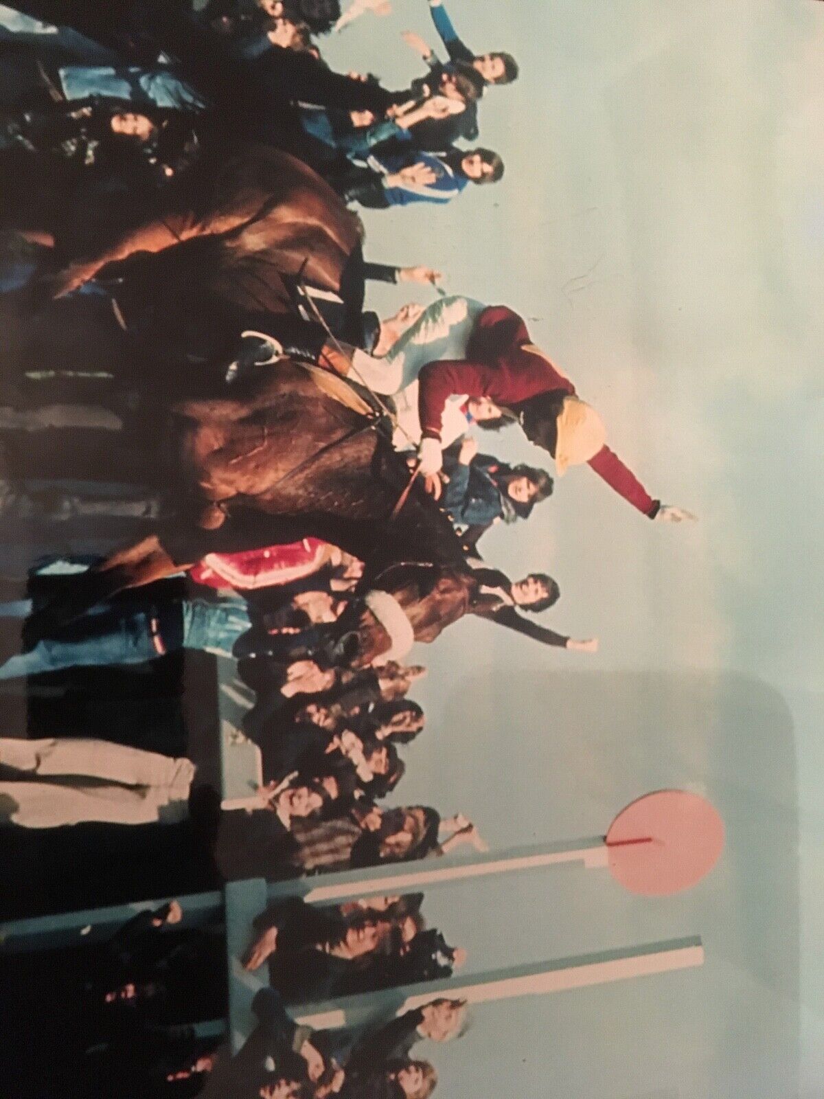 BRIAN FLETCHER - GRAND NATIONAL WINNER - RED RUM - BRILLIANT UNSIGNED Photo Poster paintingGRAPH