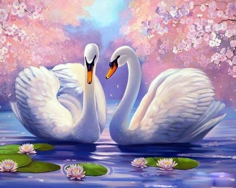

Swan Couple – Paint By Numbers - 40*50CM, 501 Original