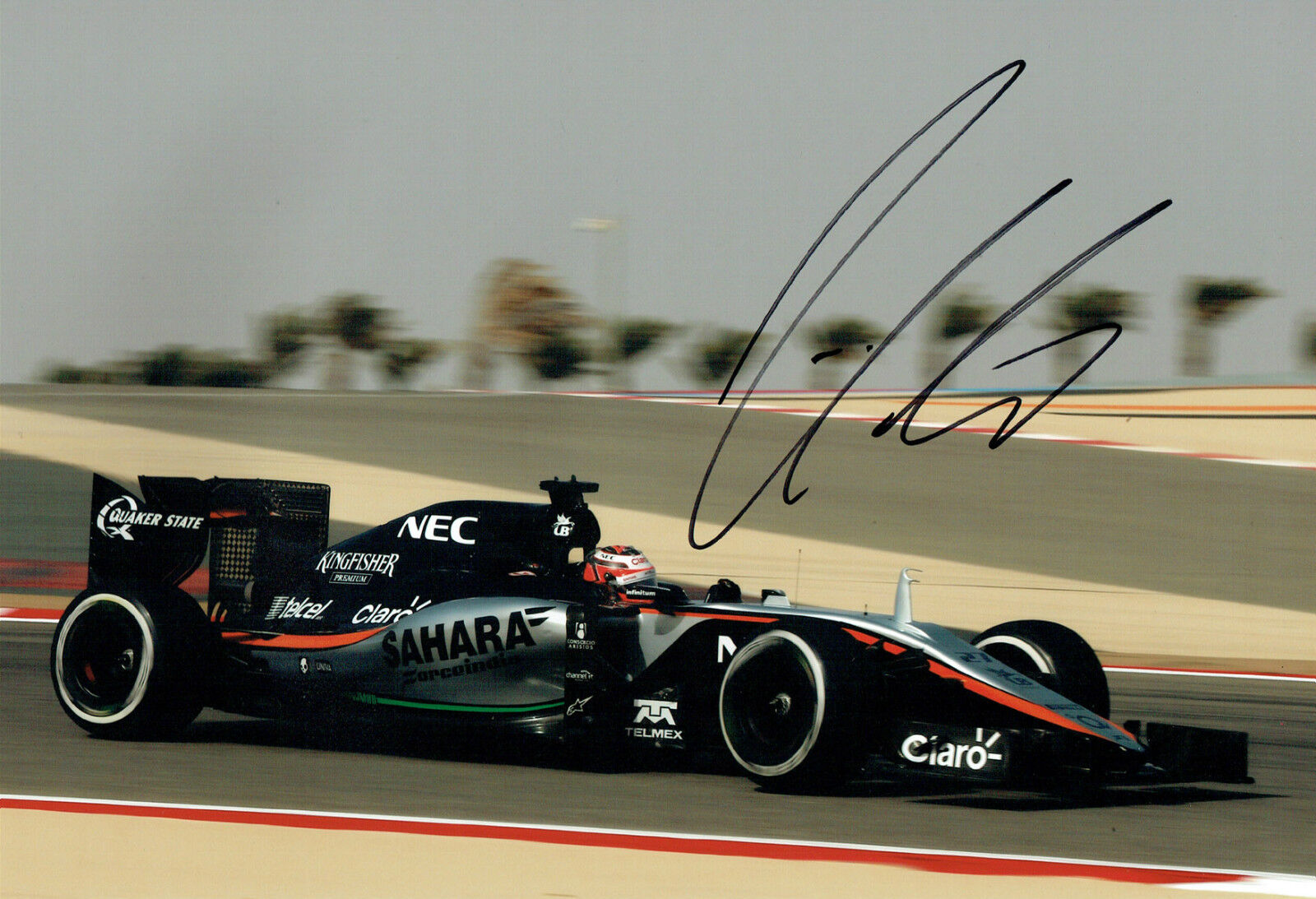 Nico HULKENBERG SIGNED Autograph Force India F1 12x8 Bahrain Photo Poster painting AFTAL COA