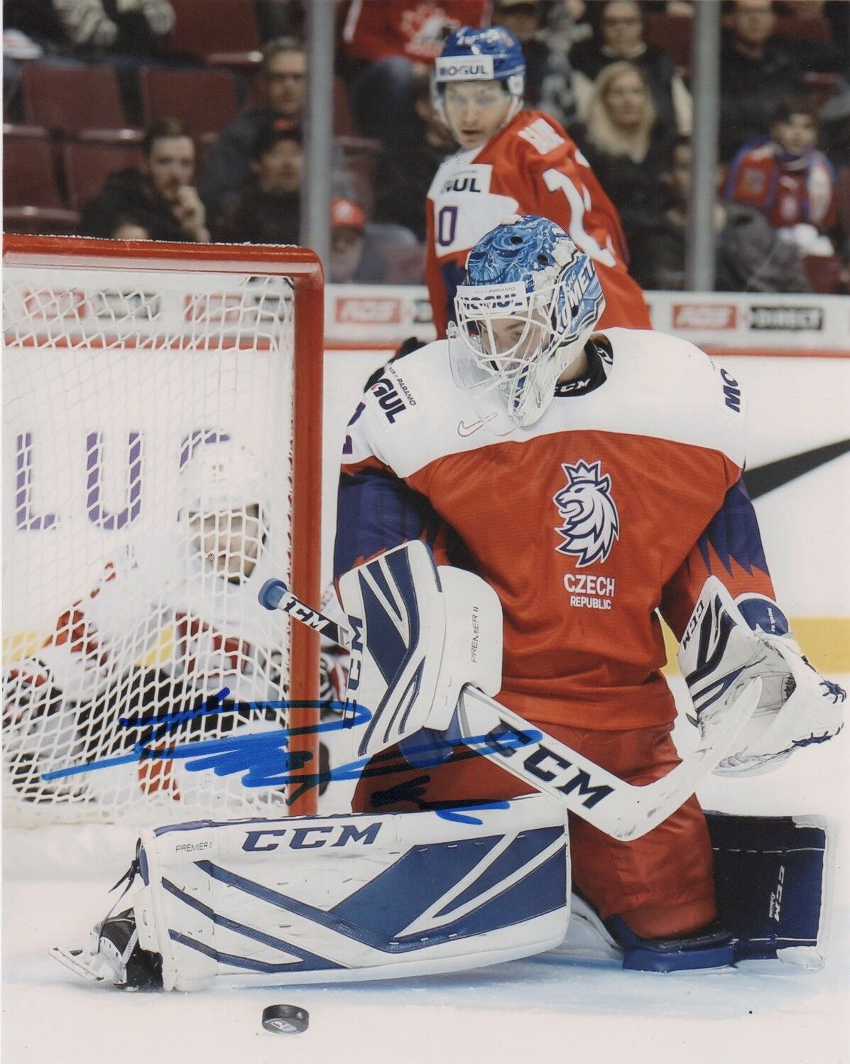 Czech Lukas Dostal Signed Autographed 8x10 NHL Photo Poster painting COA #5