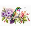 uk.everydayedeals (Limited Stock)Diamond Painting - Full Round - Hummingbird on A Branch(40*60cm)
