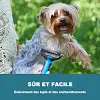 Brosse de toilettage pour animaux de compagnie