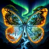 Diamond Painting -DIY Round Drill Mysterious Butterfly(40x40cm)