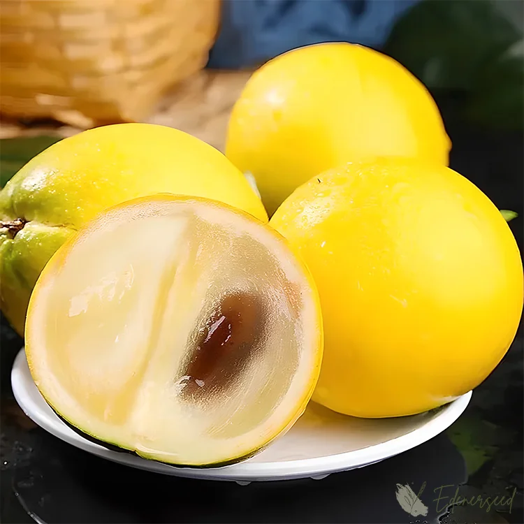Golden Fruit Seeds: Pure Sweetness, Juicy & Rich in Nutrients