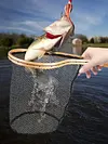 Fishing Landing Net Wooden Handle Trout Net Fly Fishing Net Fishing Accessories