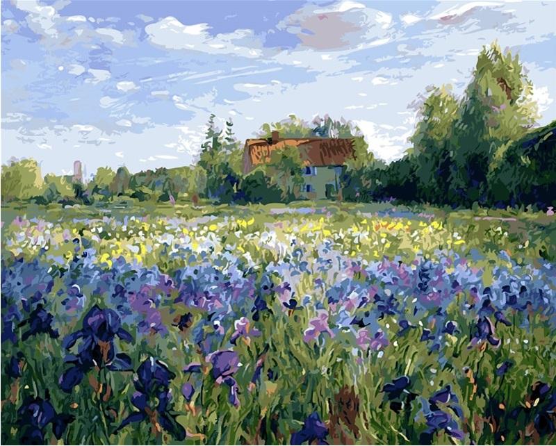 

Flowers Field – Paint By Numbers - 40*50CM, 501 Original