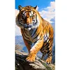 (40*70cm)Tiger - Full Round Drill Diamond Painting