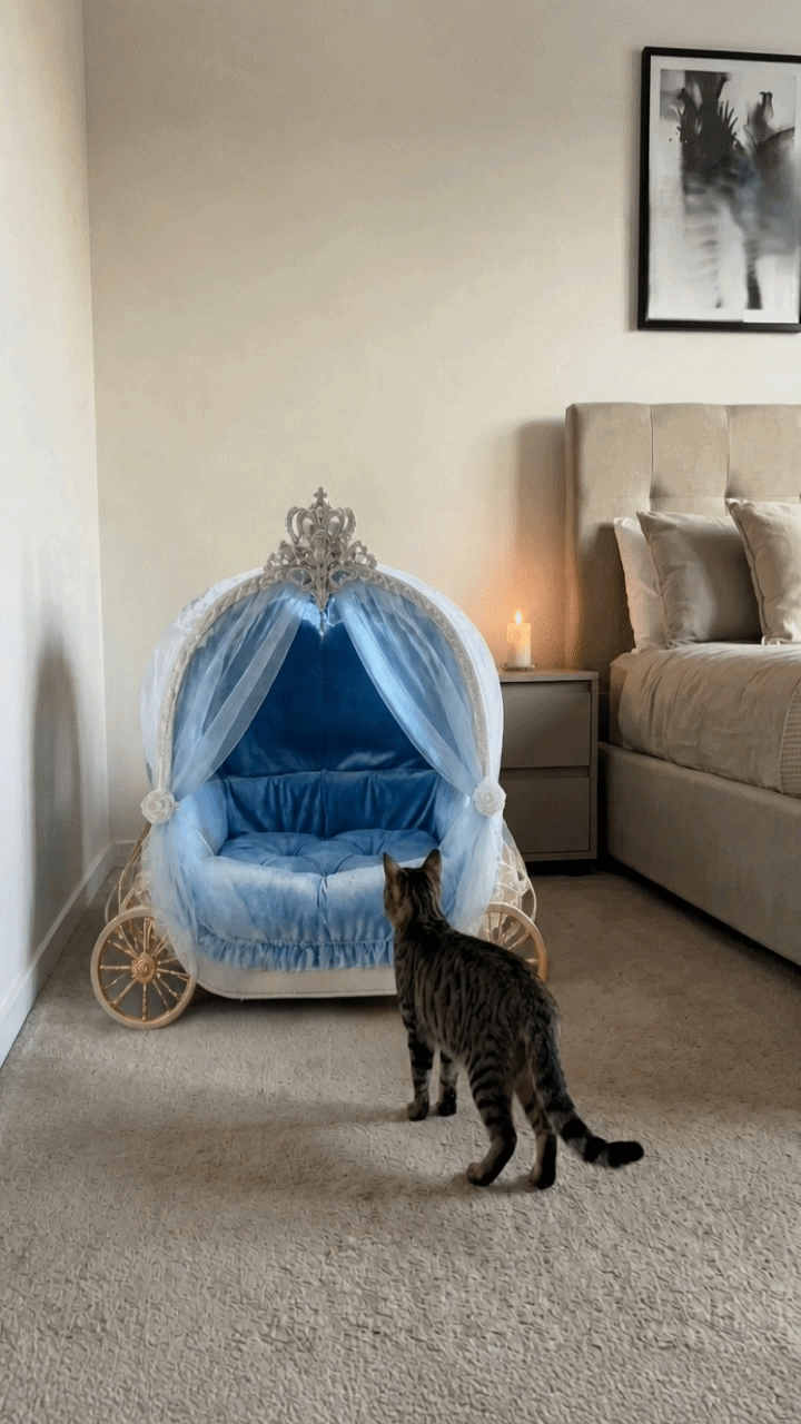 Falardeau princess carriage pet bed