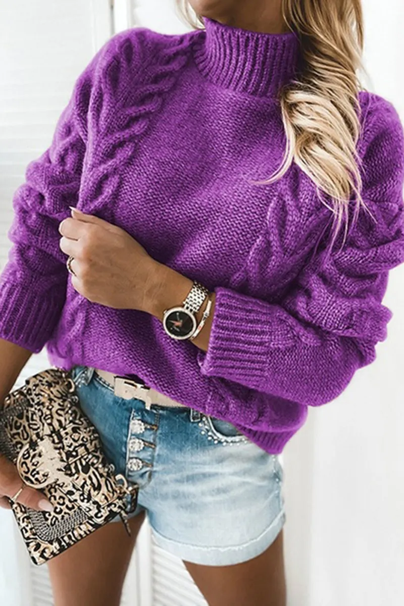 Pure Color Turtleneck Knitted Sweater