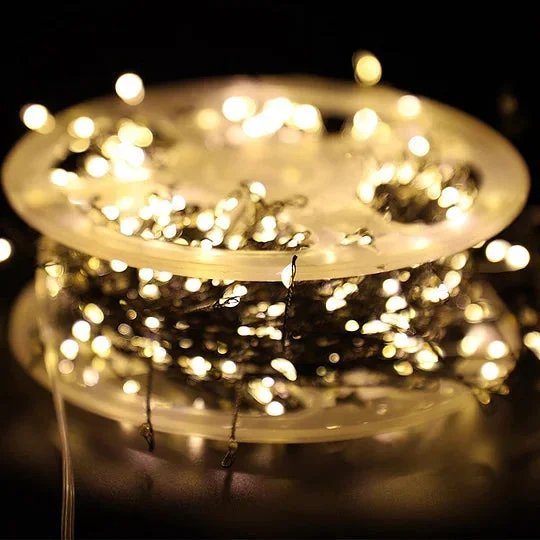 🎄Fairy lights for window decoration