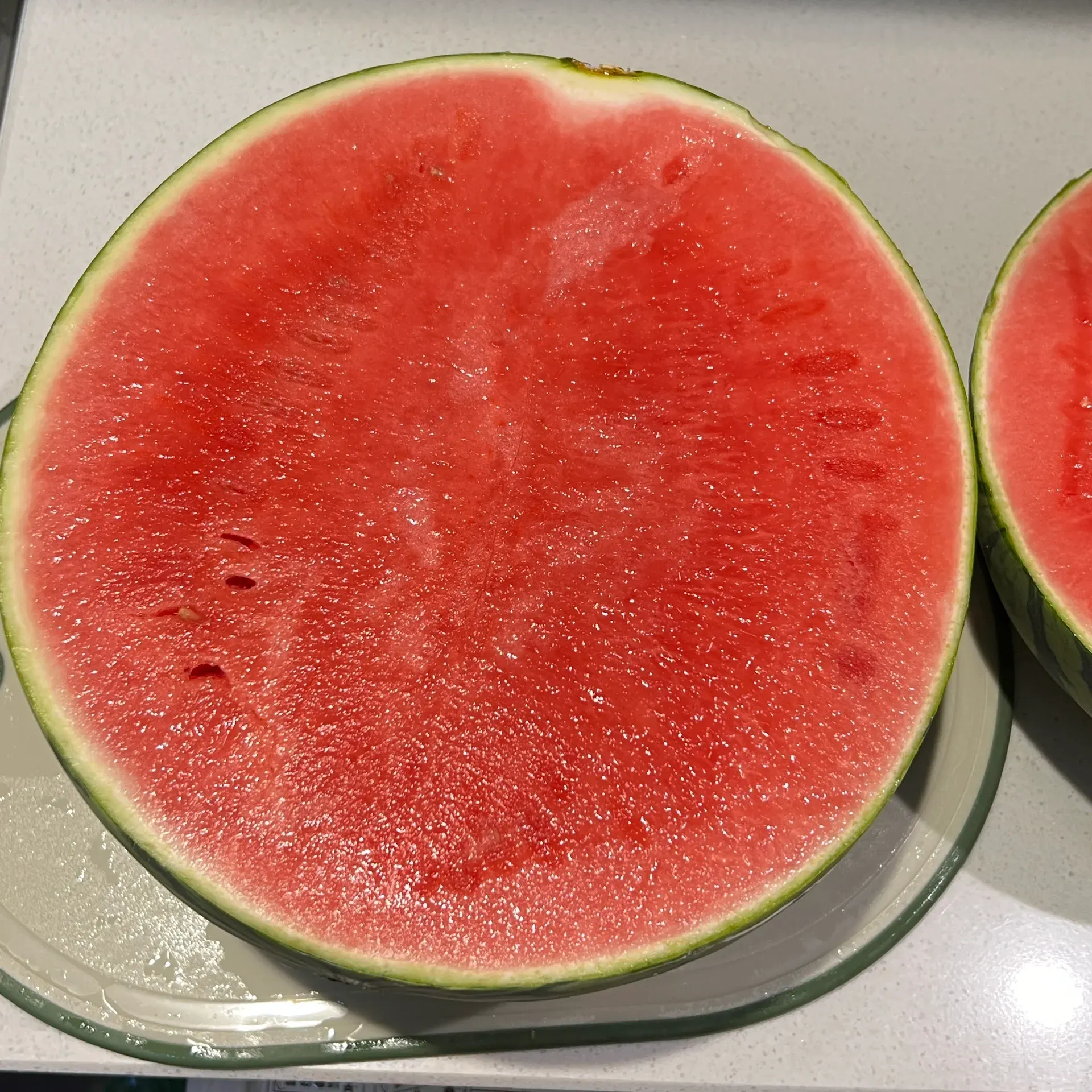 Potted Watermelon Seeds-Small Space Planting