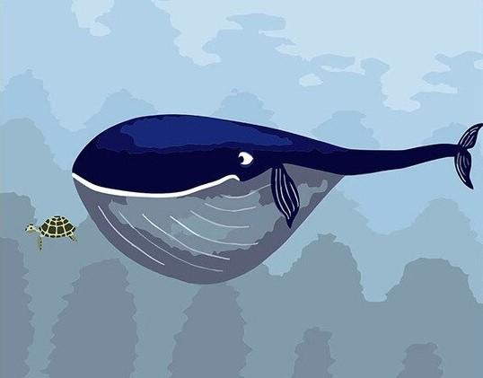 

Blue Whale And Little Turtle – Paint By Numbers - 40*50CM, 501 Original