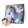 uk.everydayedeals (Limited Stock)Paint By Number - Oil Painting -  Horse (40*40Cm)