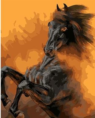 

Black Horse in Deserts – Paint By Numbers - 40*50CM, 501 Original