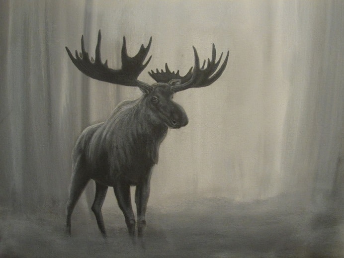 

Reindeer – Paint By Numbers - 40*50CM, 501 Original