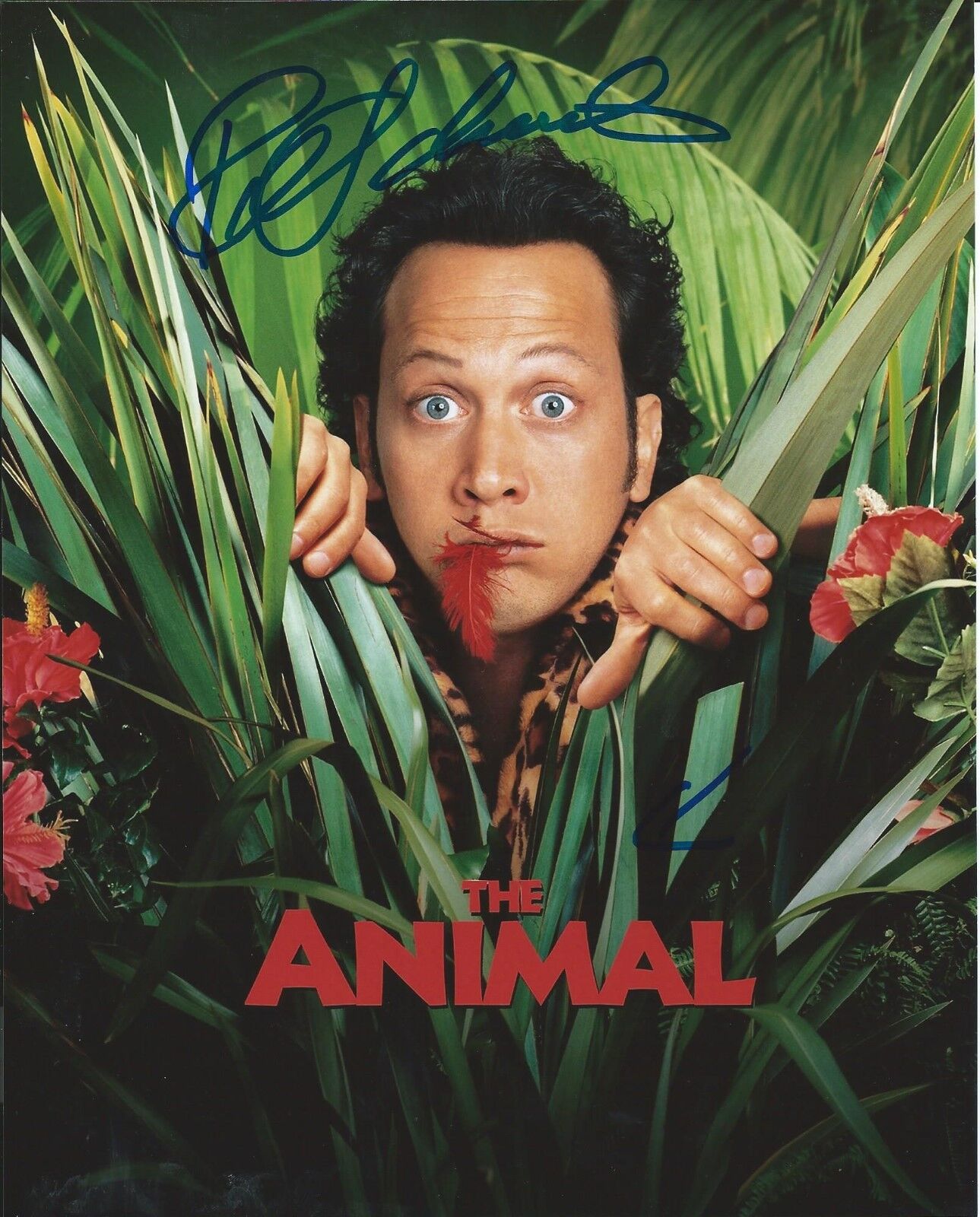 ROB SCHNEIDER signed autographed THE ANIMAL 8x10 Photo Poster painting w/COA PROOF