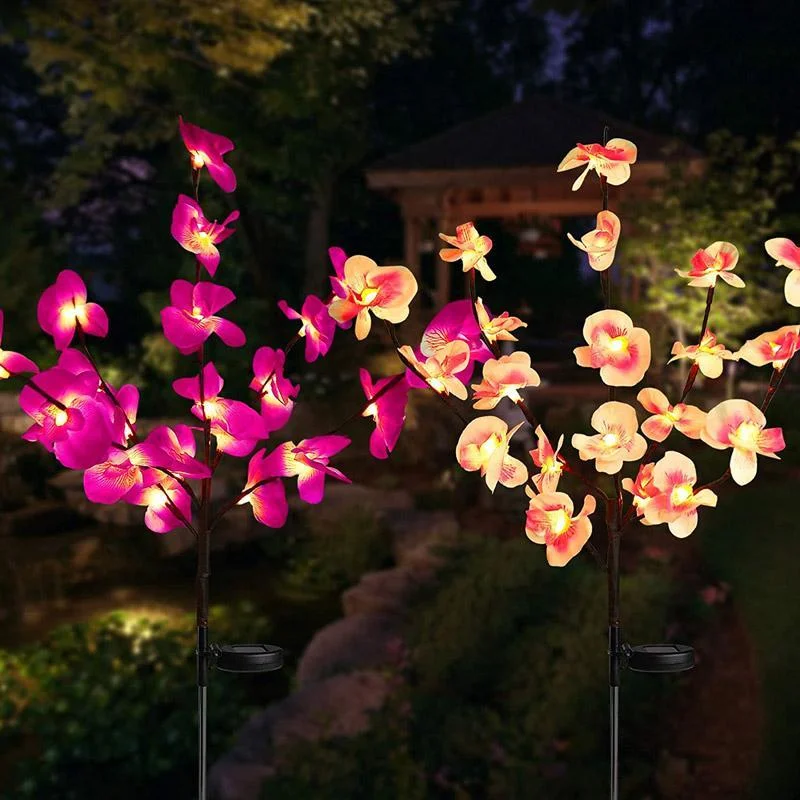 Solar Orchid Lights