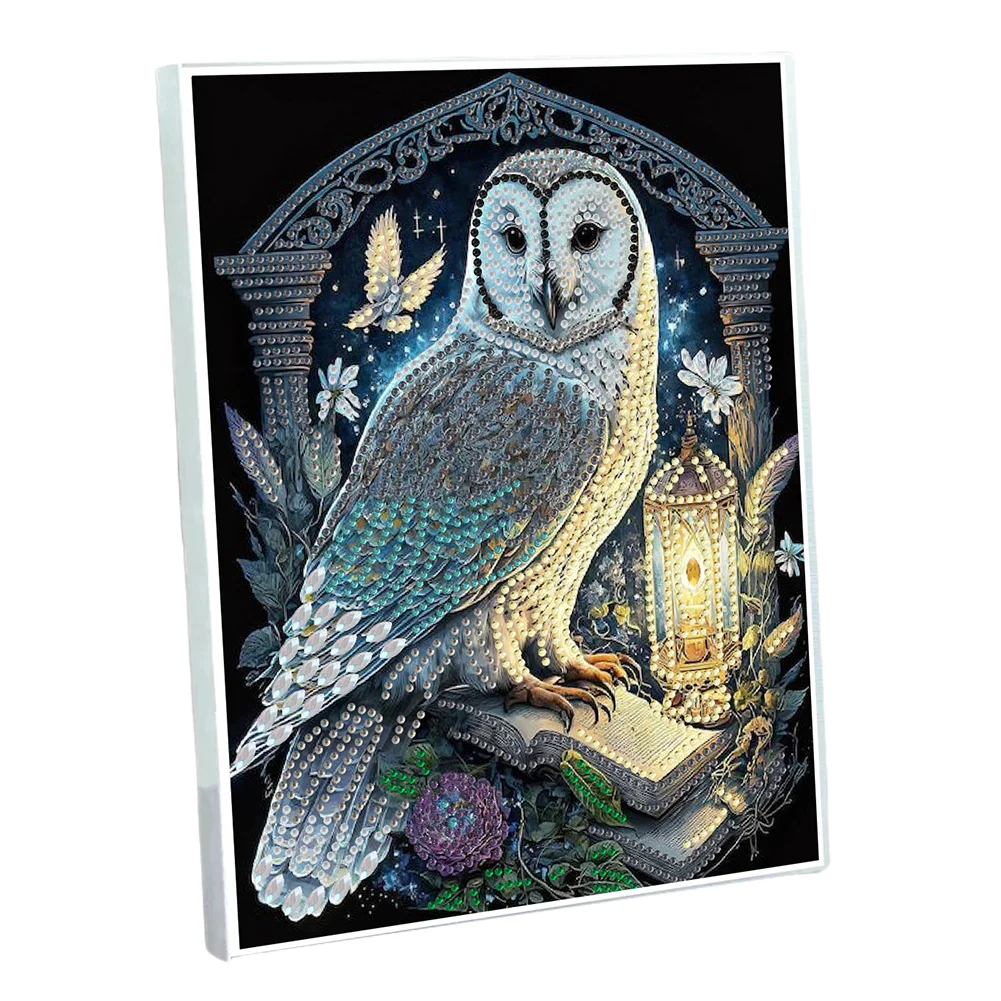 50-Page A5 Owl Diamond Painting Notebook for Adult Holiday Birthday Gift