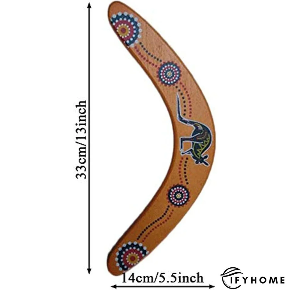 V Shaped Boomerang Throwback Flying Disc | IFYHOME