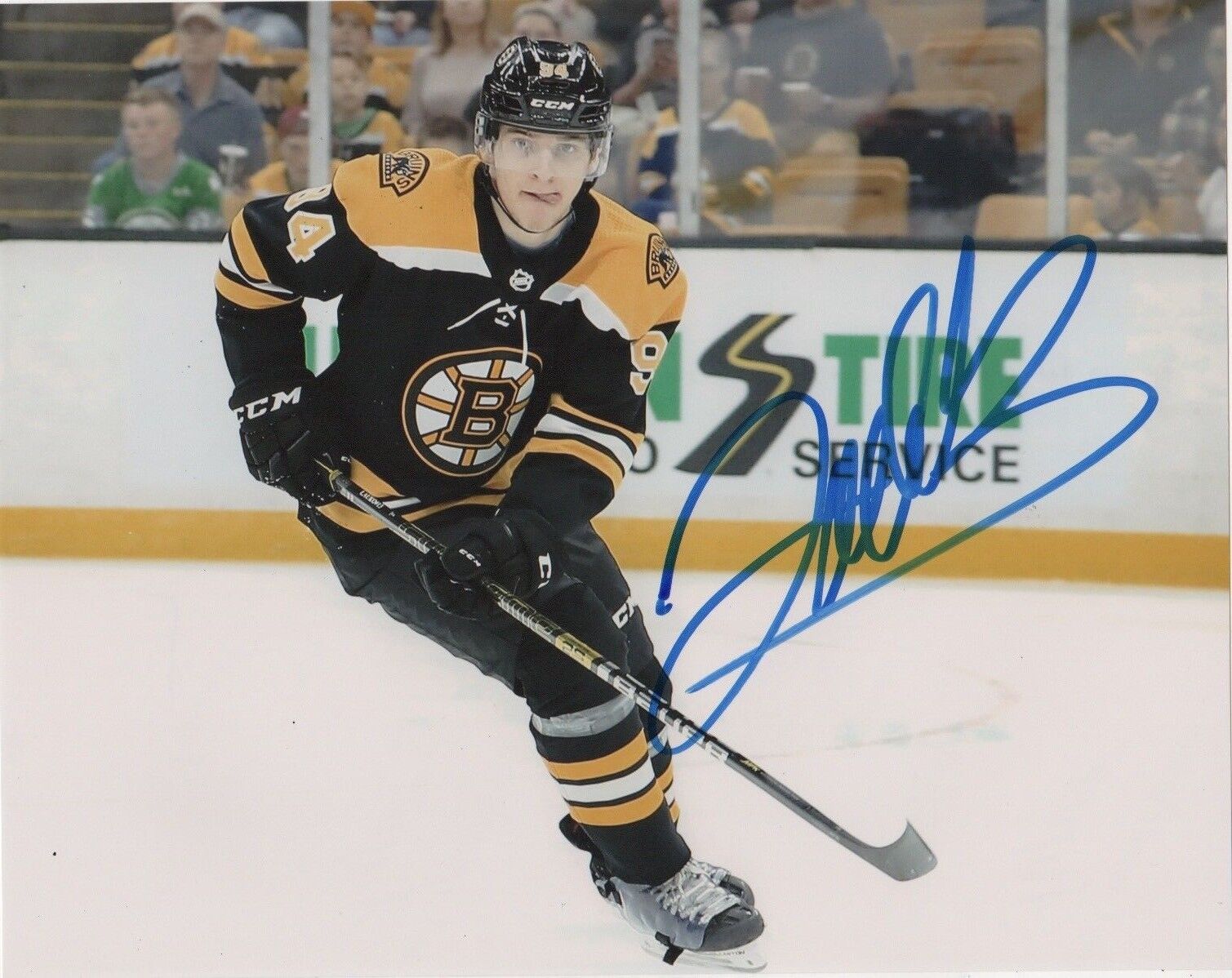 Boston Bruins Jakub Lauko Autographed Signed 8x10 NHL Photo Poster painting COA #4