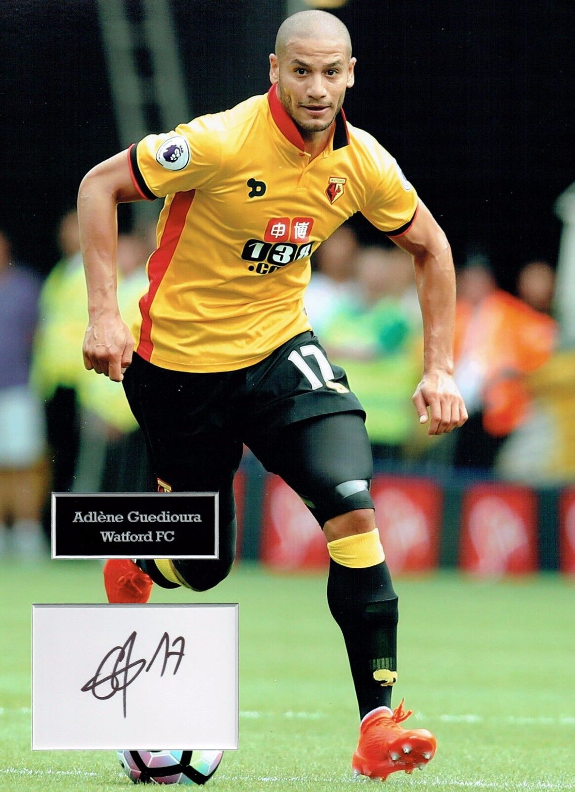 Adlene GUEDIOURA SIGNED Autograph 16x12 Photo Poster painting Dry Mount AFTAL COA Watford FC