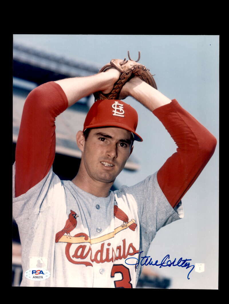 Steve Carlton PSA DNA Coa Signed 8x10 Cardinals Photo Poster painting Autograph