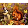 Squirrels Birds-Full Round Diamond Painting 50*40CM