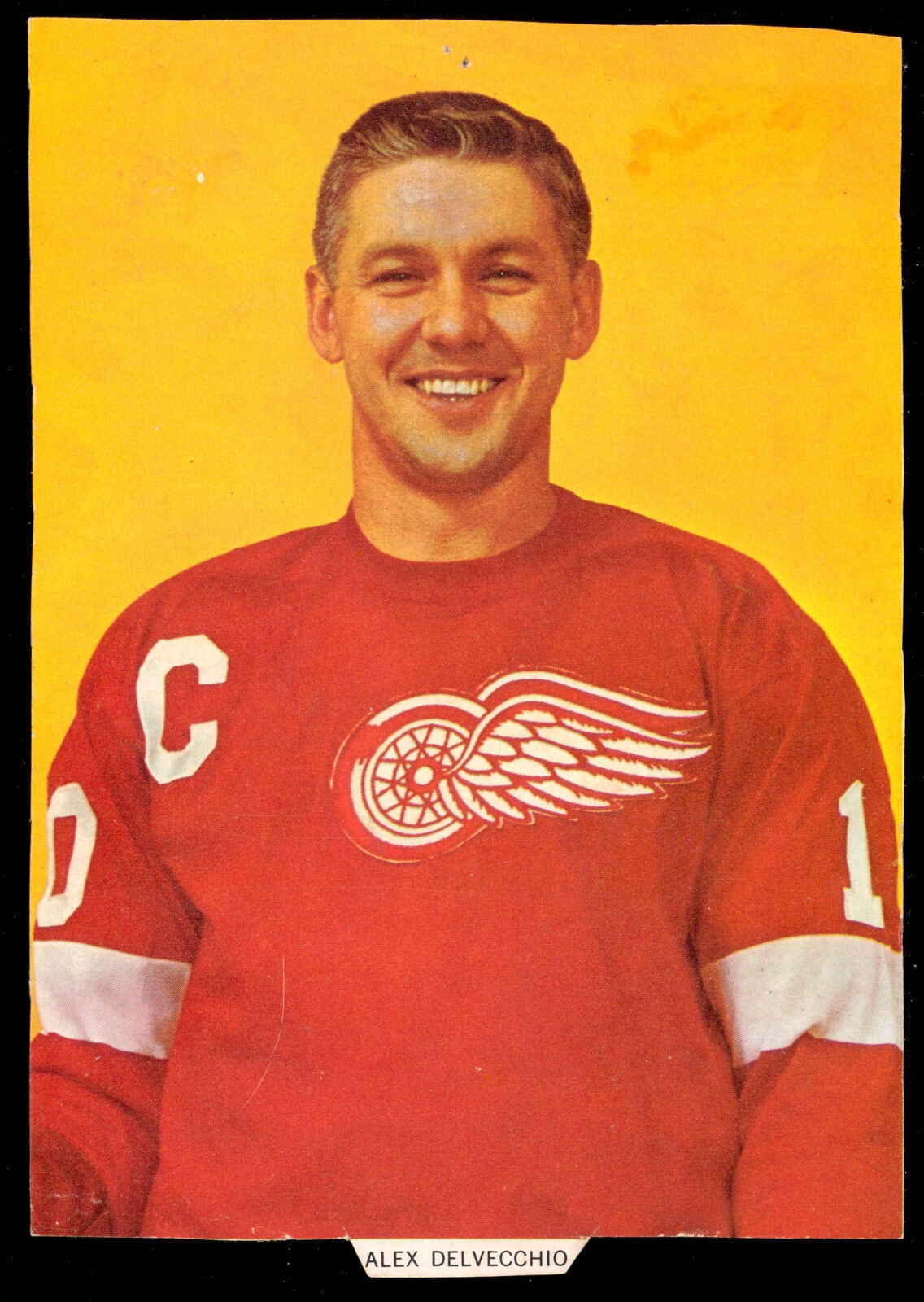 1963 1964-1965 CHEX CEREAL Hockey Photo Poster paintings Pic Alex Delvecchio Detroit Red Wings