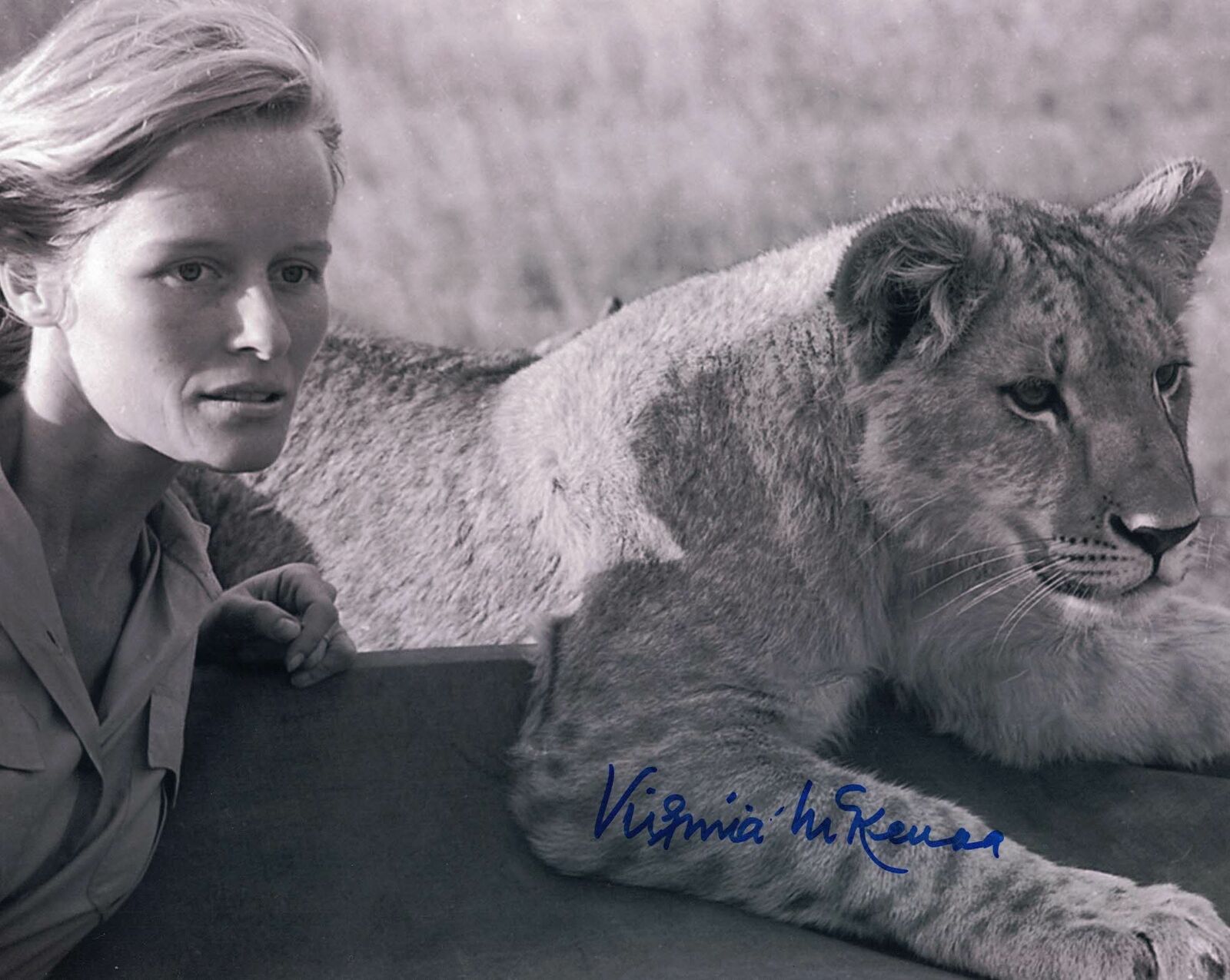 VIRGINIA MCKENNA - Born  hand signed 10 x 8 Photo Poster painting