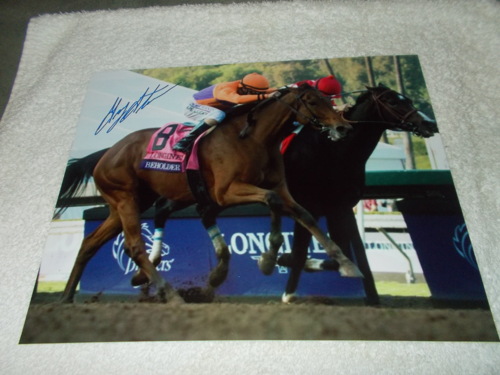 GARY STEVENS BEHOLDER 2012 BREEDERS CUP SIGNED 8x10 HORSE RACING Photo Poster painting