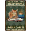 Cat - Vintage Metal Signs - 30*40cm